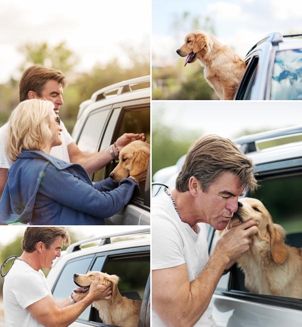 dog love